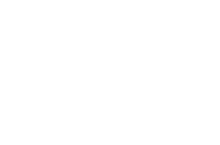 とりいちず